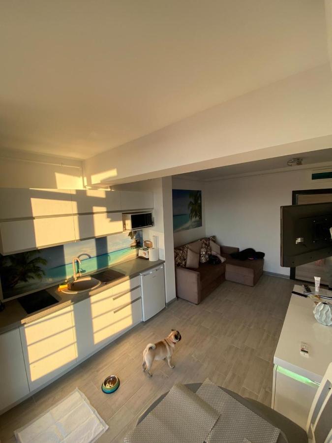 Apartament Edu Beach Resort Năvodari Extérieur photo